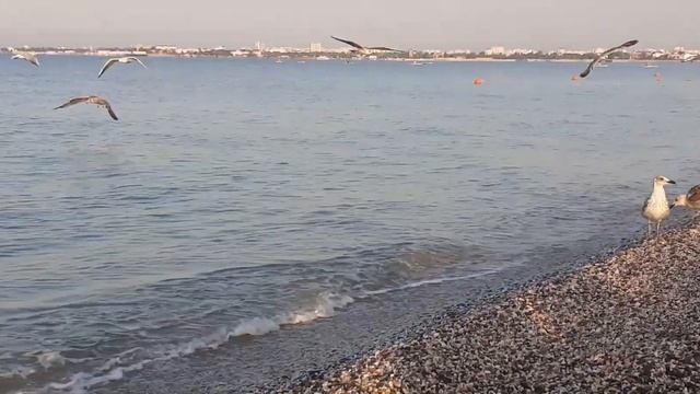 Счастье есть тут и сейчас! смотреть онлайн