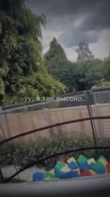 Папашка мистера макса упал с лестницы #memes #mrmax #father смотреть онлайн