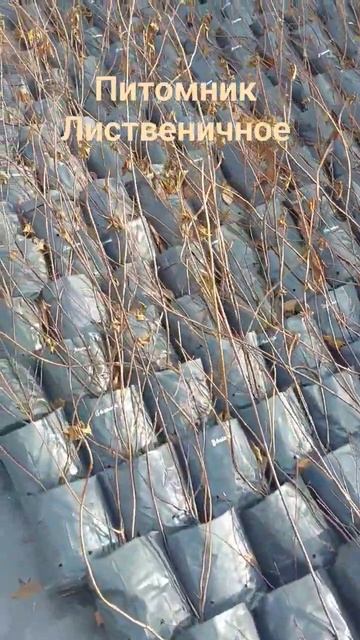 подготовка растений к зиме смотреть онлайн