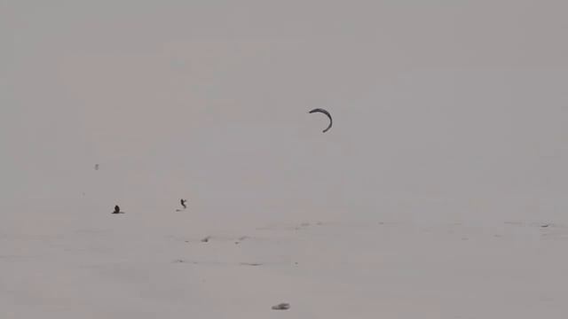 Сноуборд с парусом или сноуборд-кайтинг смотреть онлайн