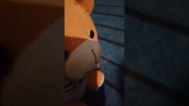 животные пивотные