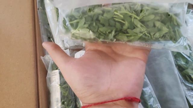 получили не укор смотреть онлайн