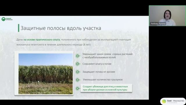 Вебинар с Любовью Лукиной, директором отдела развития смотреть онлайн