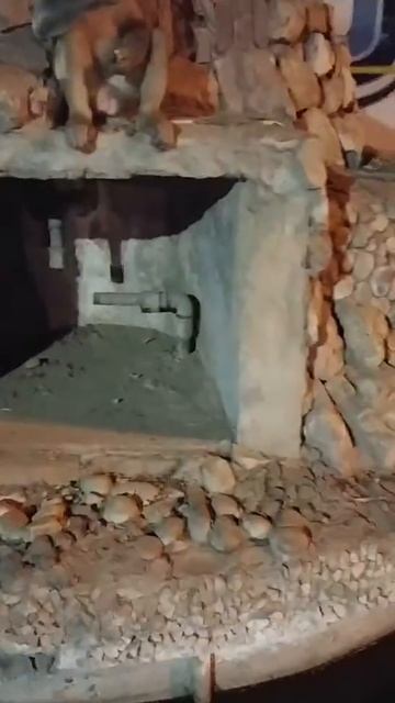 Обезьяна есть с рук. Индия, Агра смотреть онлайн