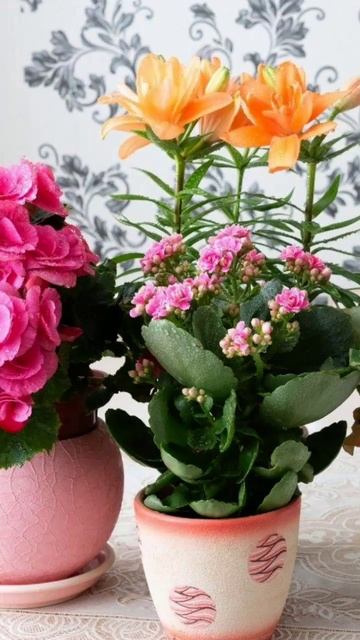 ДАРИТЕ ЖЕНЩИНАМ ЦВЕТЫ!!! смотреть онлайн