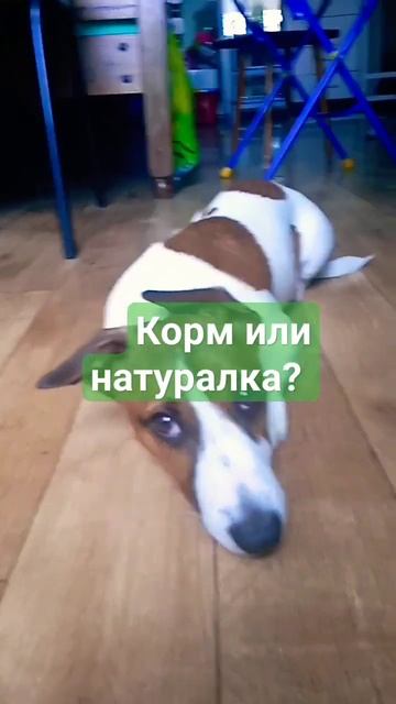 Если посмотреть весь ролик до конца, можно понять его ? смотреть онлайн