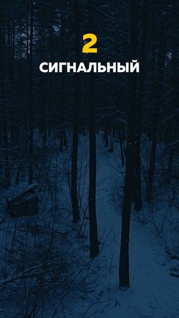 Armytek Bear WRG — новая серия, новое управление, новые возмо? смотреть онлайн