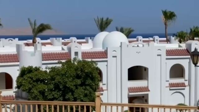 Так проходят бизнес-практики Coral Business School
