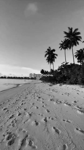 “Где любовь,там есть жизнь…”❤️ #ахмедшад #рек #реком смотреть онлайн