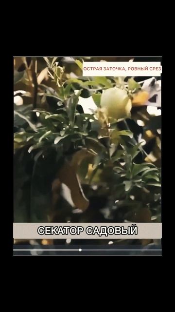 Секатор садовый смотреть онлайн