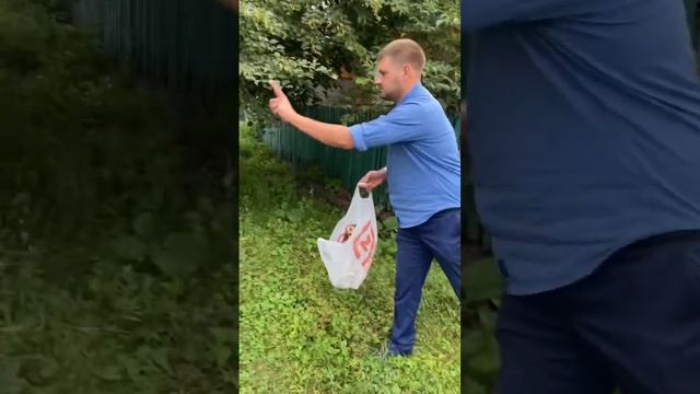 Раздаем грибочки бесплатно) добру быть) просто насоби? смотреть онлайн