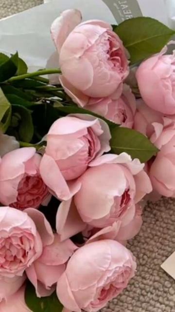 обои на телефон если что обои нашла из пинтерест смотреть онлайн