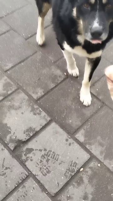 12 января 2025 г. смотреть онлайн