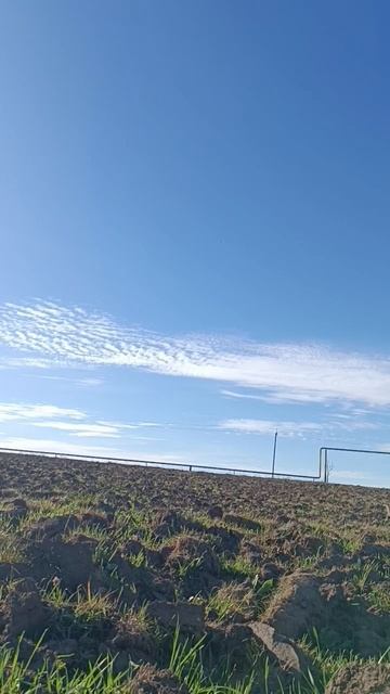 сеем овëс #музыка #красиво #верхомнамечте #деревня смотреть онлайн