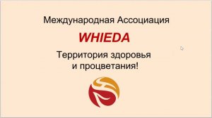 Презентация сетевой компании WHIEDA| Аркадий Аксенов