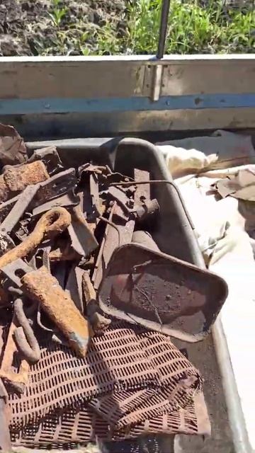 #shorts 40кг металла за полтора часа, #youtubeshorts #instagram #коп #ме