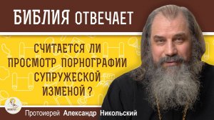 Считается ли просмотр порнографии супружеской изменой ?   Протоиерей Александр Никольский