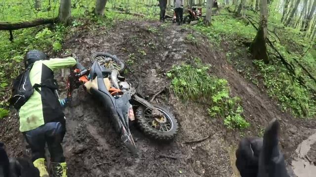 мамайский лес))