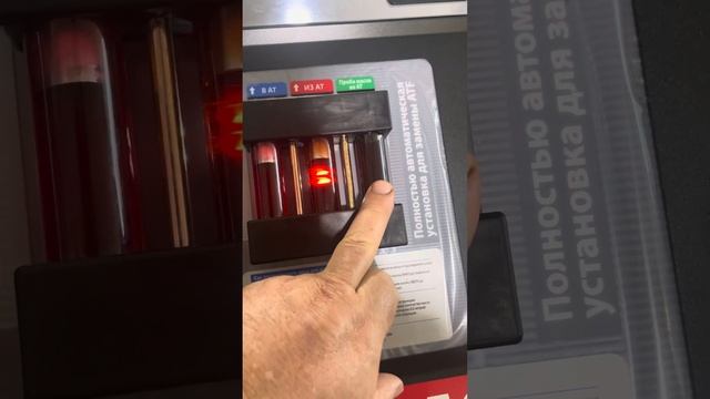 16 сентября 2024 г.