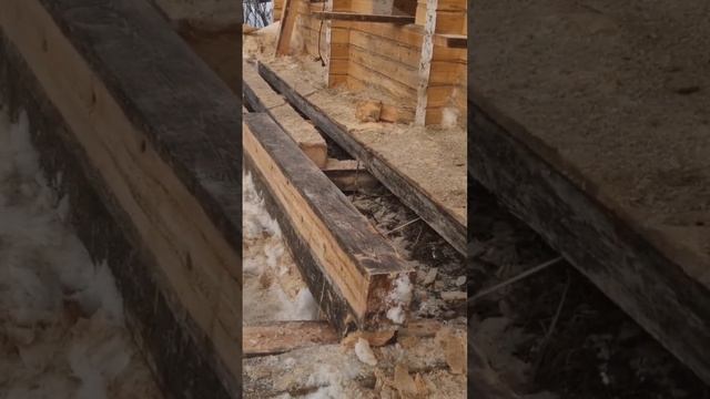 Синий ,чёрный брус . не паникуем! смотреть онлайн