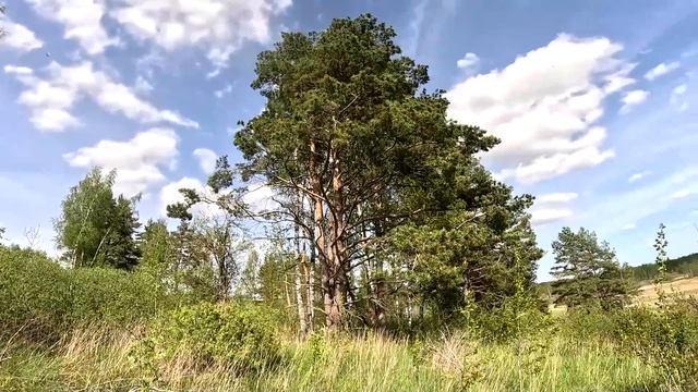 Хозяйство подождёт ! Пора выезжать ! ХУТОР В ЛЕСУ №705 смотреть онлайн