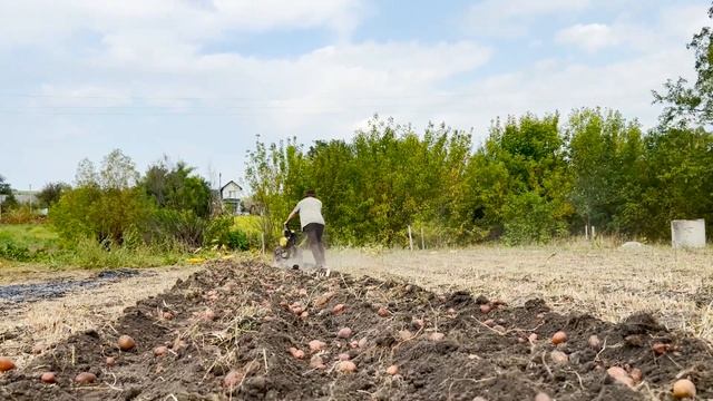 Копка картофеля за 2 минуты. Самодельная лапа картокоп смотреть онлайн