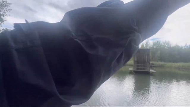 Ловлю окуня на спиннинг , отводной поводок рулит #рыба?