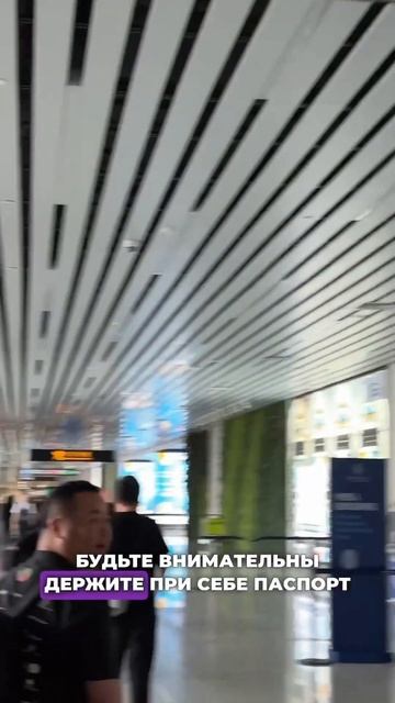 Как не потеряться при пересадке в аэропорту смотреть онлайн