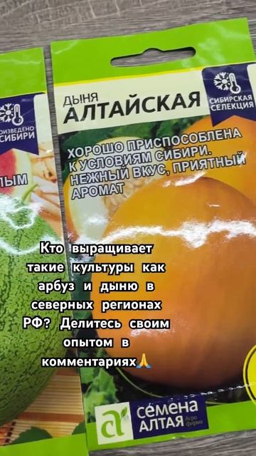 Хочу вырастить у себя в огороде арбуз и дыньку. Получи? смотреть онлайн
