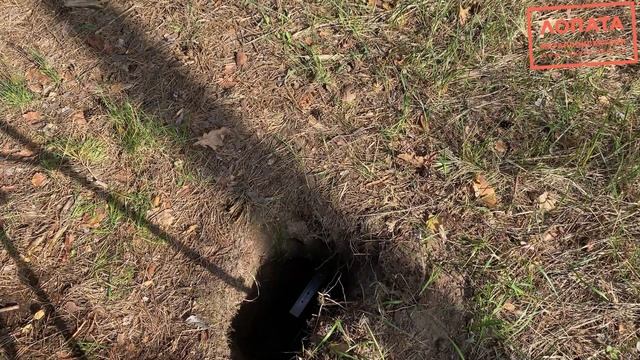 #metaldetecting #minelabxterraelite  X TERRA ELITE  Vs GARRET VORTEX9 . Неожиданно ?