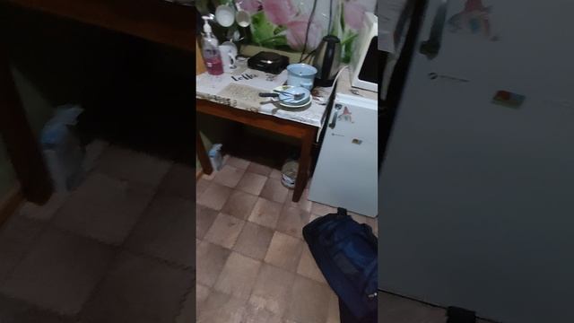 Видео отчёт, сдаю комнату после двух недель проживания смотреть онлайн