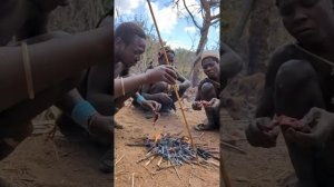 Охотники из племени бушмены, разбили лагерь где охотятся