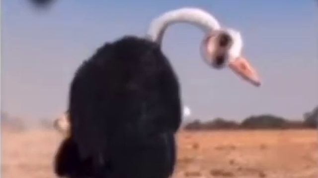 Если бы детские рисунки были настоящими. смотреть онлайн