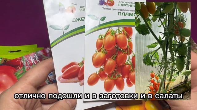 Томаты 2024 года.Семена от агрофирмы Партнер. #томаты #по смотреть онлайн