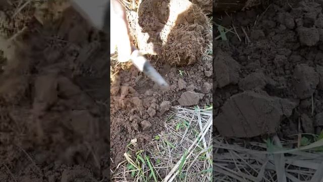 Покажи экран #находки #metaldetecting #поискмонет #коп #metaldetecto смотреть онлайн