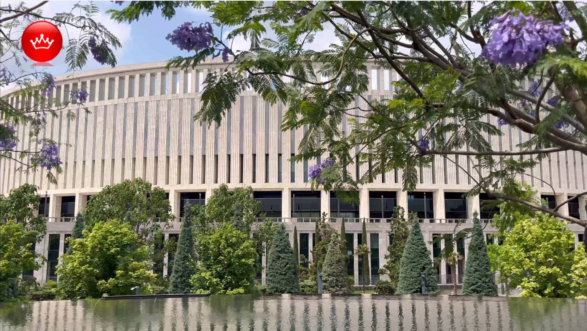 🌳 Жакаранда Парк Галицкого показываем что цветет Лето 2025 смотреть онлайн