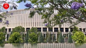 🌳 Жакаранда Парк Галицкого показываем что цветет Лето 2025