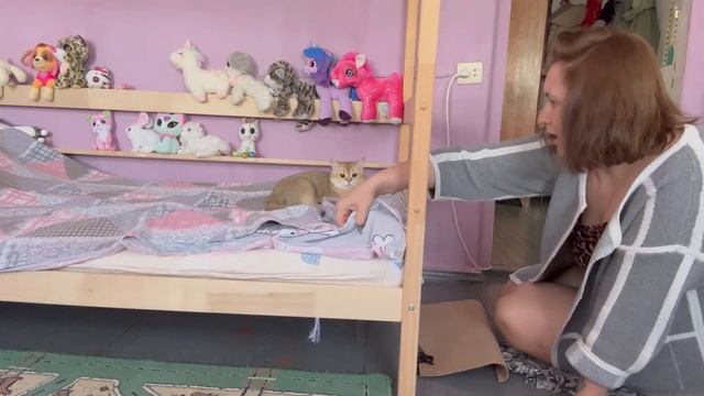 Покупки Магнит/ Получила лобзик🤩💅🏻/ Шмонька😾🐈