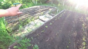 Как бороться с кошками на грядках?