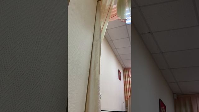 Публичные слушания по проекту исполнения бюджета 2019 г смотреть онлайн