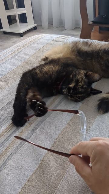 Странные чувства смотреть онлайн