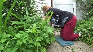 Борюсь с травой. Наляпала ошибок. Есть идея.