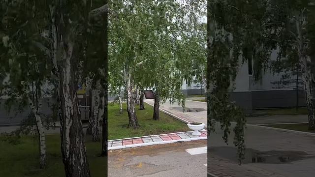 Павлодарская обл.,Успенский район, с. Успенка #успенка смотреть онлайн