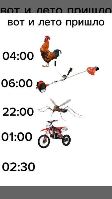 ВОТ И ЛЕТО НАСТАЛО.