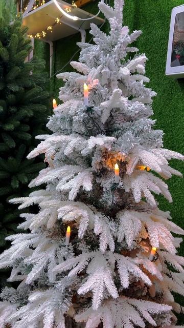 Ёлка искусственная , 120=6000, 150=10000, 180=13000, 210=19000, 240=27000 . Telegr смотреть онлайн