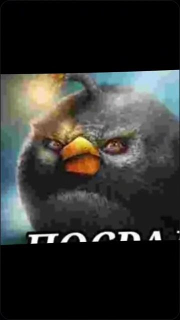 Посрал VS Глагол #meme #lol #memes #жиза #мем #юмор #прикол #xd #edit смотреть онлайн