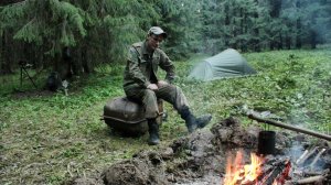 Поиск в лесном урочище / 1 часть #521