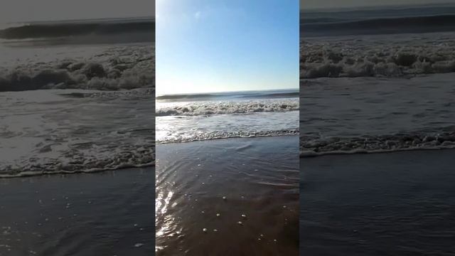 РЫБАЛКА В ОКЕАНЕ #fishing #леонидтимо #рыбалка смотреть онлайн