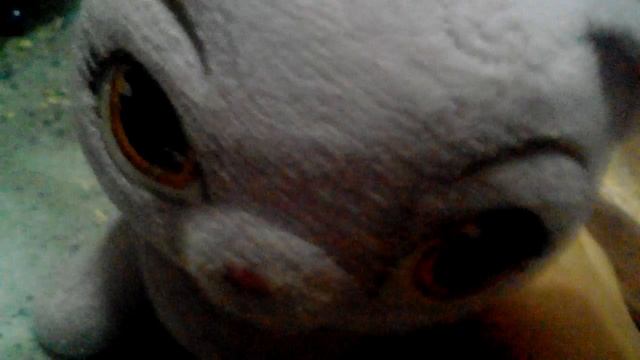 звонить телефон злой девочка звонит телефон нету карт