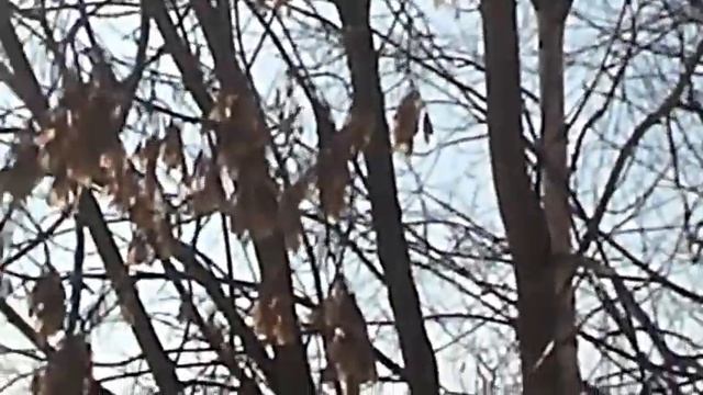 За тебя - Автор Татьяна Корн музыка и поёт Влад Корнилов смотреть онлайн